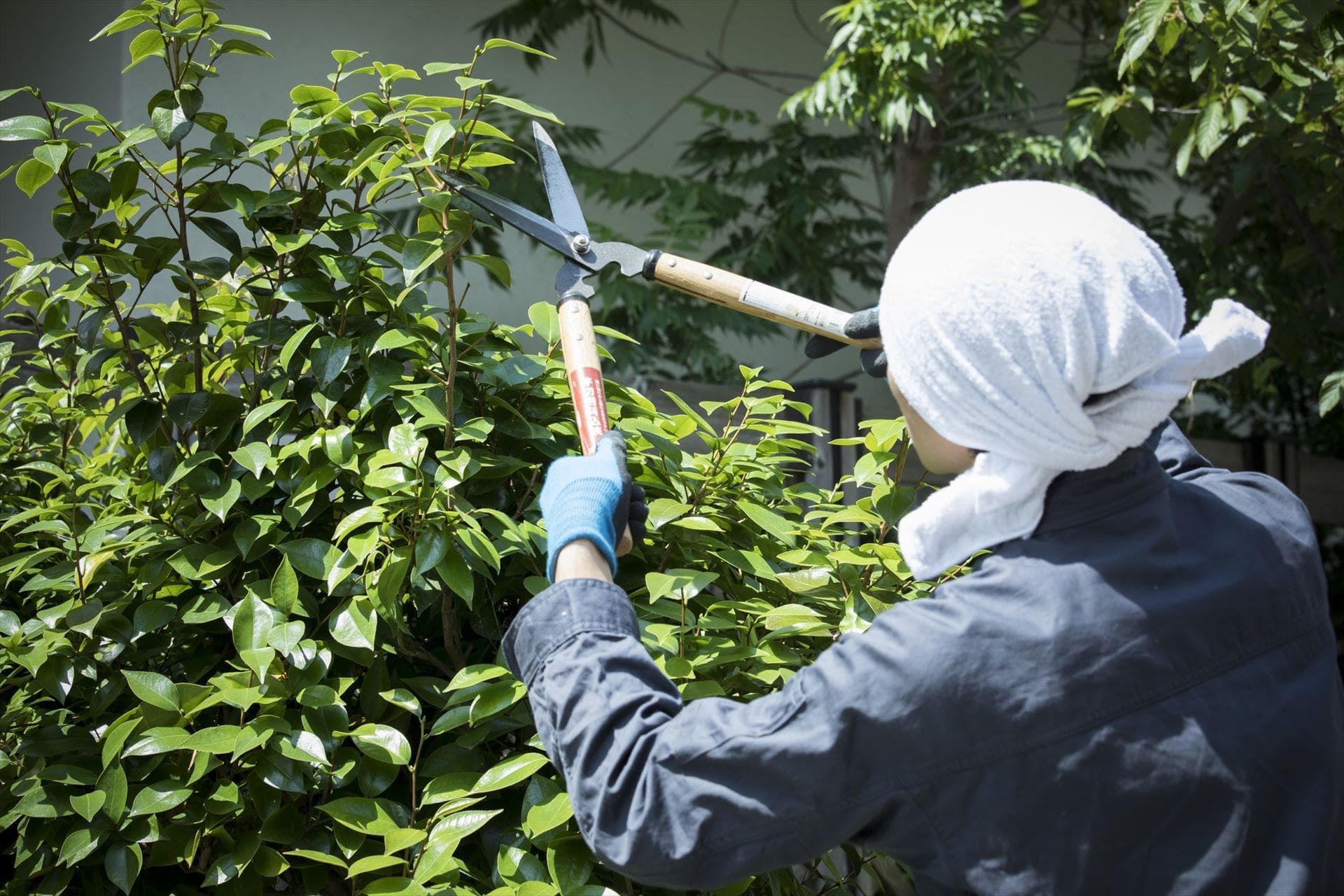 手軽で便利に豊かな暮らしを